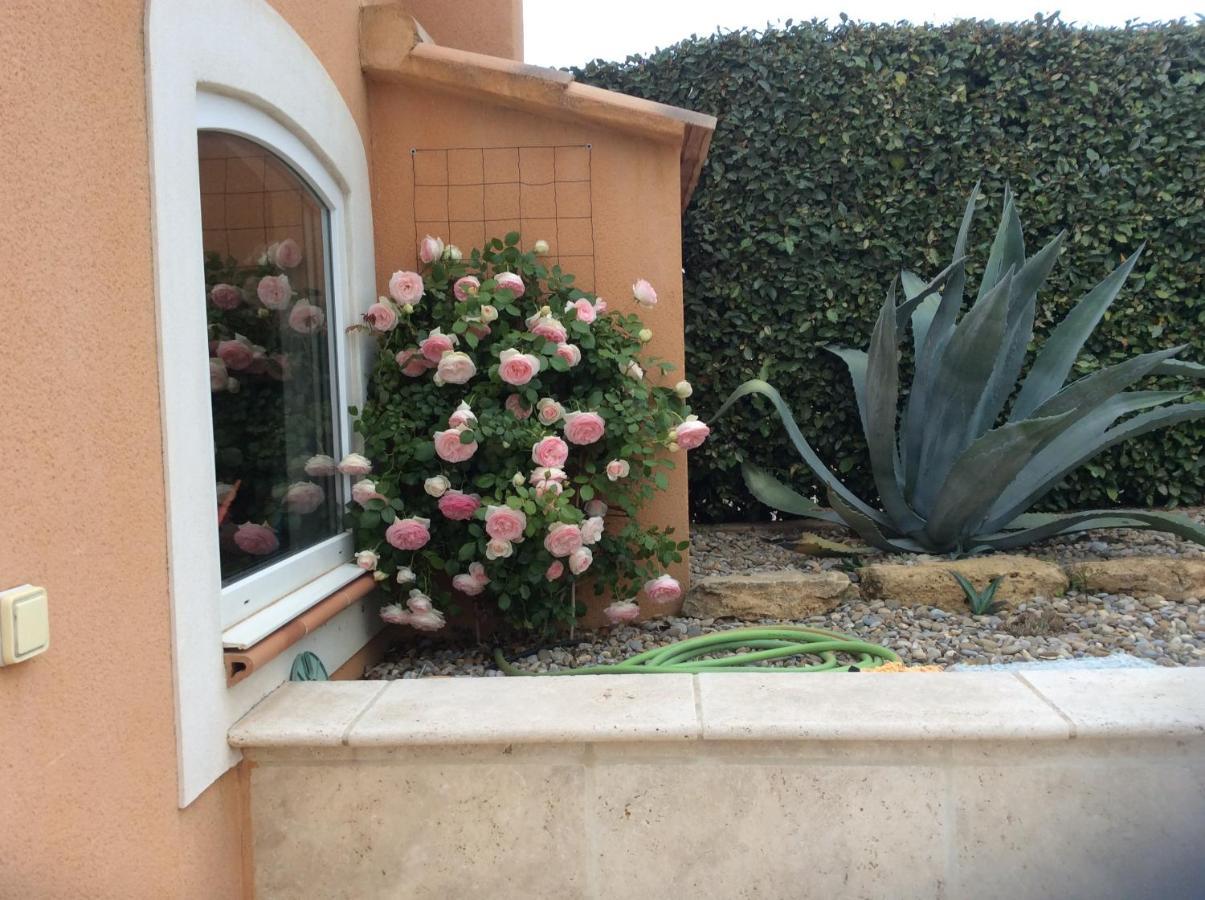 Les Lavandes Bed & Breakfast Alleins Exterior photo